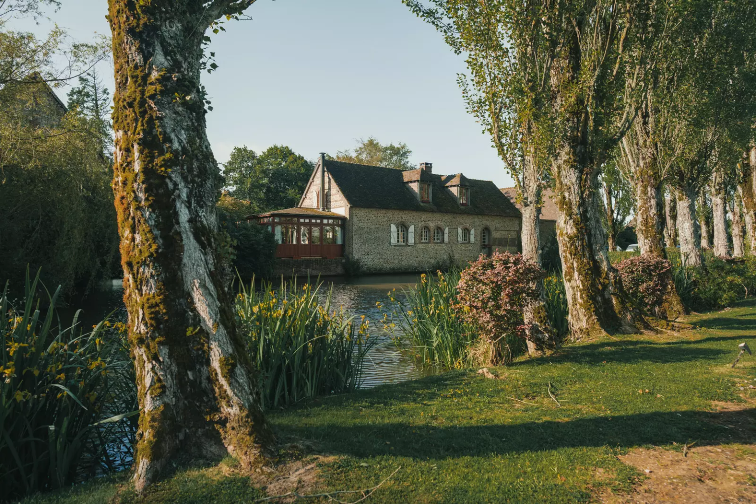 Photographe et vidéaste de Mariage en Normandie – Alain Leprévost 1 claire-marin5